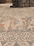 IMG_20230416_122218