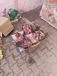 IMG_20230417_113234