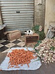 IMG_20230417_112652