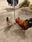 IMG_20230419_134841
