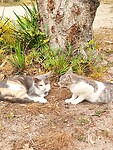 IMG_20230419_112330