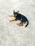 IMG_20230421_162255