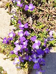 IMG_20230421_122420