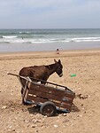IMG_20230504_123458