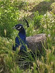 IMG_20230516_093849