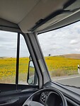 IMG_20230527_113418
