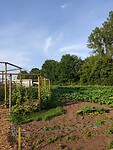IMG_20230621_194518