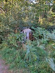 IMG_20240825_194849