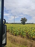 IMG_20240830_120026
