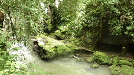 Jungle Temple