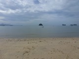 the black and white beach
