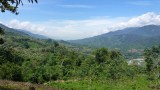 view vanuit jungle