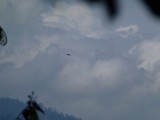 the eagle's flight