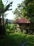 hutjes van Ayuni's guesthouse