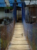 overal rivieren en bruggetjes