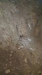 Spidey in de cave