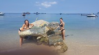 Viki