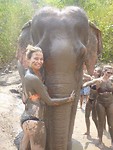 Elephant sanctuary