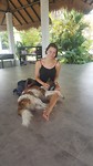 Lieve hostelhond