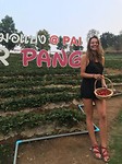 Aardbeien plukken