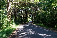 Île des Pins - 21