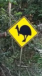 Wallaman Falls - 1