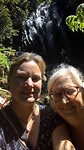 Millaa Millaa Waterfall Circuit - 5