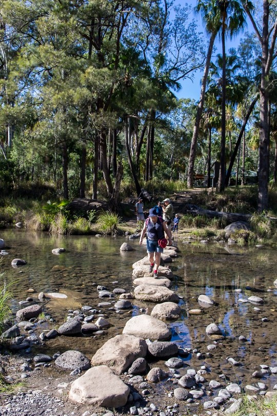Carnarvon National Park - 5