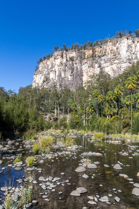 Carnarvon National Park - 6