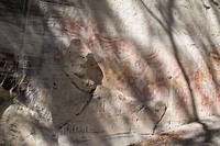 Carnarvon National Park - 8