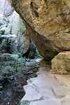 Carnarvon National Park - 10