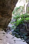 Carnarvon National Park - 11