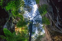 Carnarvon National Park - 12