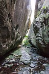 Carnarvon National Park - 13