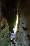Carnarvon National Park - 14