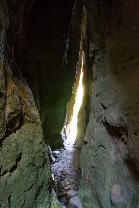 Carnarvon National Park - 14