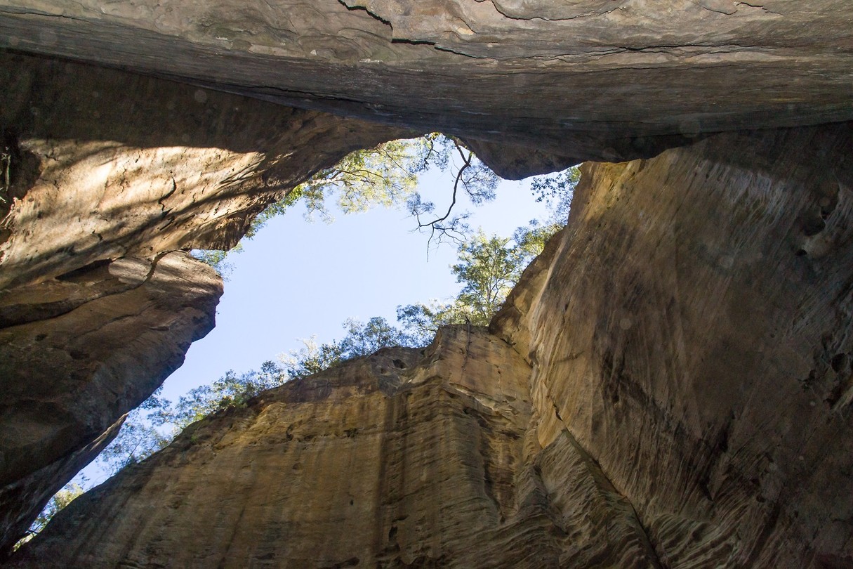 Carnarvon National Park - 17