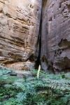 Carnarvon National Park - 18