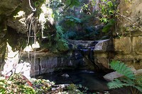 Carnarvon National Park - 21