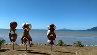 Cardwell - 1