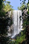 Millaa Millaa Waterfall Circuit - 3