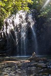 Millaa Millaa Waterfall Circuit - 4