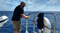 Cruising Cairns to Port Douglas - 6