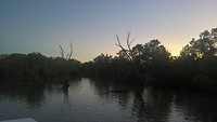 Murray River - 9