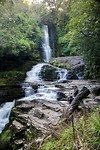 Matai Falls - 1