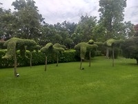 Hua Hin - 6