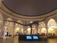 Dubai - 10