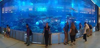 Dubai - 8
