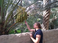 Al Ain - 19