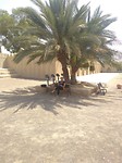Al Ain - 6